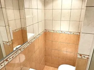 Pronájem bytu 1+kk, Most, U Věžových domů, 22 m2