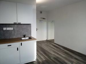 Pronájem bytu 1+kk, Praha - Střížkov, Děčínská, 24 m2