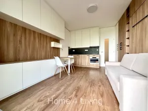 Pronájem bytu 1+kk, Brno, Trnitá, 48 m2