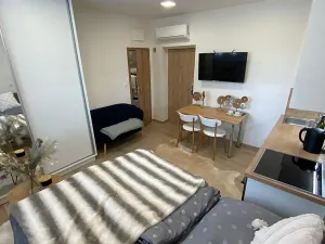 Pronájem bytu 1+kk, Zlín, Štefánikova, 30 m2