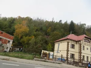 Dražba lesa, Štěchovice, 29131 m2