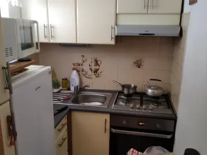 Dražba bytu 1+kk, Znojmo, Růženy Svobodové, 31 m2