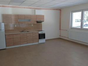 Pronájem bytu 1+kk, Horní Stropnice, 40 m2