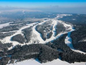 Prodej bytu 2+kk, Abertamy, Pražská, 44 m2