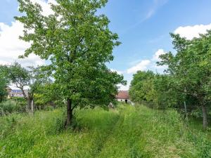 Prodej rodinného domu, Želeč, 100 m2