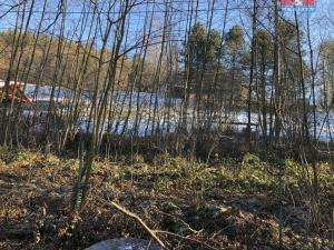 Prodej zahrady, Rožnov pod Radhoštěm, Horní Paseky, 2406 m2