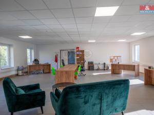 Prodej výrobních prostor, Husinec, Mikulášova, 4900 m2