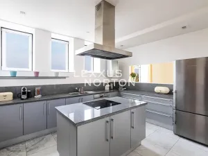 Pronájem bytu 6+kk a větší, Praha - Bubeneč, Rooseveltova, 386 m2