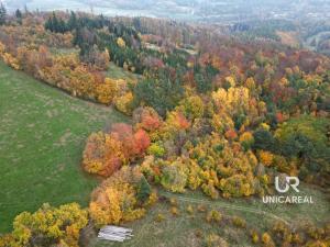 Prodej louky, Kunštát - Touboř, 21465 m2