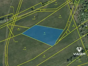 Prodej pole, Poběžovice u Holic, 4359 m2