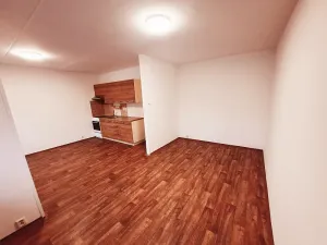 Pronájem bytu 2+kk, Litoměřice, Revoluční, 42 m2