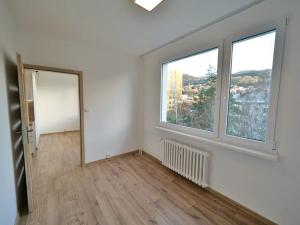 Pronájem bytu 2+1, Ústí nad Labem, Kamenná, 50 m2