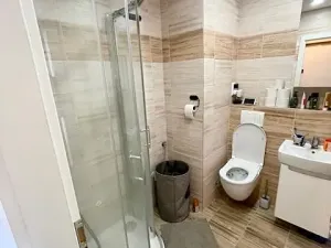 Prodej bytu 1+kk, Říčany, 22 m2