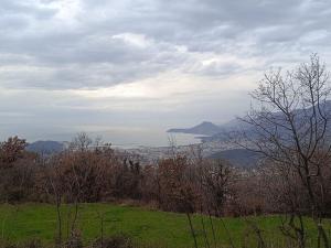 Prodej pozemku, Gornji Podi, Bar, Černá Hora, 1550 m2