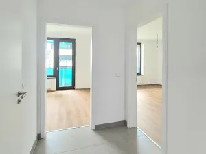 Pronájem bytu 2+kk, Praha - Žižkov, Olgy Havlové, 46 m2