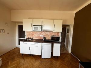 Pronájem bytu 1+kk, Vysoké Mýto, Pražská, 22 m2