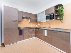 Pronájem bytu 2+kk, Praha - Vršovice, Pod soutratím, 90 m2