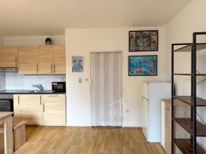 Pronájem bytu 1+kk, Vacenovice, 32 m2