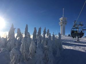 Prodej bytu 4+kk, Loučná pod Klínovcem, 99 m2