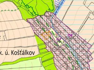 Dražba pozemku pro bydlení, Staré Město pod Landštejnem, 1074 m2