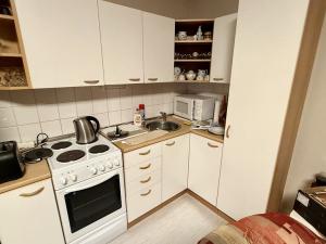 Pronájem bytu 2+kk, Jihlava, U Dvora, 48 m2