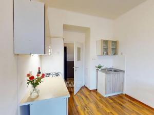 Prodej bytu 2+kk, Praha - Vysočany, Freyova, 47 m2