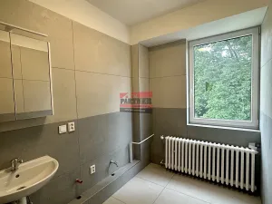 Pronájem bytu 3+kk, Lštění, Míru, 90 m2