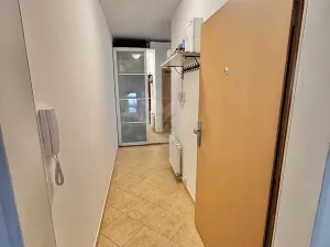 Pronájem bytu 2+kk, Praha - Štěrboholy, Laudonova, 60 m2