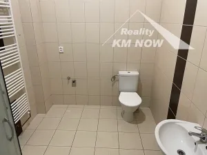 Pronájem bytu 1+kk, Kroměříž, Riegrovo náměstí, 41 m2