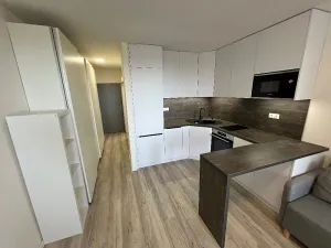 Prodej bytu 2+kk, Olomouc, Černá cesta, 39 m2