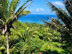 Prodej rodinného domu, Coxen Hole, Roatán, Honduras, 1452 m2