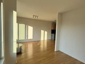 Pronájem bytu 2+kk, Praha - Žižkov, U Viktorie, 46 m2