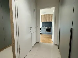 Pronájem bytu 2+kk, Praha - Žižkov, U Viktorie, 46 m2