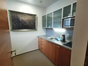 Prodej apartmánu, Praha - Nusle, Vladimírova, 537 m2