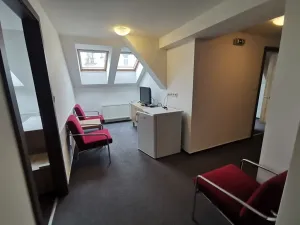 Prodej apartmánu, Praha - Nusle, Vladimírova, 537 m2