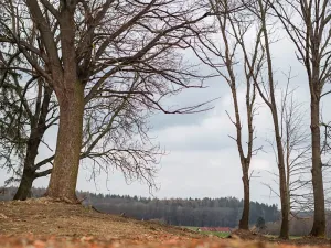 Prodej pozemku pro bydlení, Golčův Jeníkov, 2922 m2