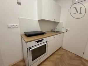 Pronájem bytu 1+1, České Budějovice, U Malše, 45 m2