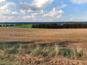 Prodej pole, Bílá Třemešná, 18276 m2