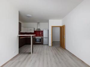 Pronájem bytu 2+kk, Praha - Žižkov, Jeseniova, 55 m2