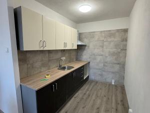 Pronájem bytu 2+kk, Bílina - Pražské Předměstí, Aléská, 40 m2