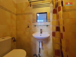 Pronájem bytu 1+kk, Vyškov - Vyškov-Město, Brněnská, 20 m2