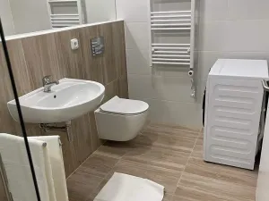 Pronájem bytu 2+kk, Ostrava, Cihelní, 57 m2