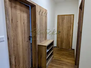 Pronájem bytu 3+kk, Hodonín, 90 m2