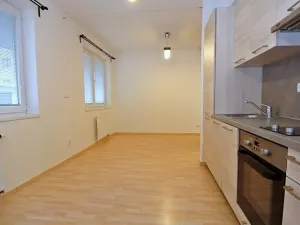 Pronájem bytu 1+kk, Praha - Bubeneč, Jednořadá, 30 m2