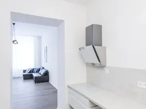 Pronájem bytu 2+kk, Praha - Nové Město, Opletalova, 80 m2