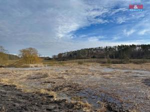 Prodej rybníku, Dublovice - Zvírotice, 30355 m2