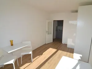 Pronájem bytu 1+kk, Praha - Černý Most, Kuttelwascherova, 22 m2