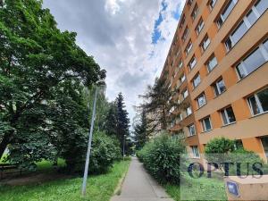 Pronájem bytu 1+kk, Praha - Podolí, Kaplická, 35 m2