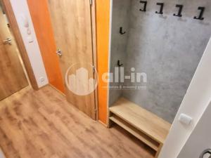 Pronájem bytu 1+kk, Vyškov - Dědice, Sídliště Osvobození, 29 m2