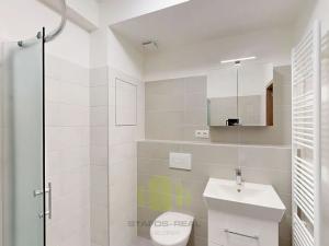 Pronájem bytu 1+kk, Prostějov, Na Lukách, 34 m2